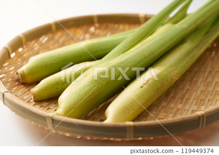 Image of makomodake (bamboo shoot) 119449374