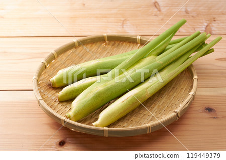 Image of makomodake (bamboo shoot) 119449379