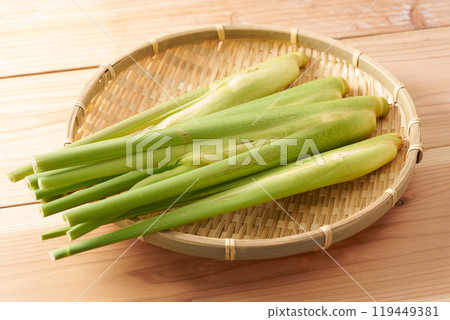 Image of makomodake (bamboo shoot) Image of makomodake (bamboo shoot) 119449381