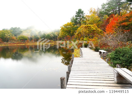 信州的秋天,志賀高原太陽谷,一沼湖,秋葉風景 信州的秋天,志賀高原太陽谷,一沼湖,秋葉風景 119449515