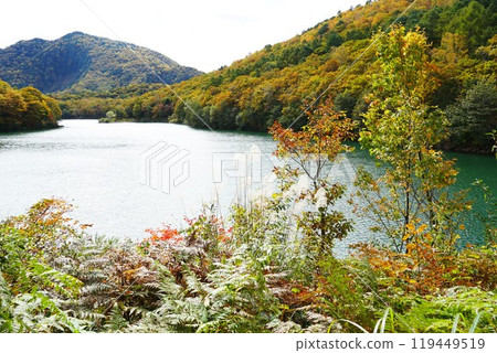 Autumn in Shinshu: Autumn foliage at Lake Biwa in Sun Valley, Shiga Kogen 119449519
