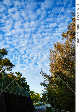 Sheep clouds in the autumn sky 119449791