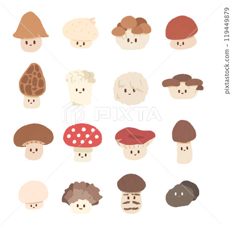 各種蘑菇套裝 119449879