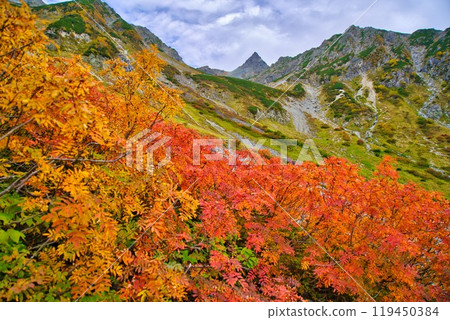 Ashigatake of autumn leaves Ashigatake of autumn leaves 119450384