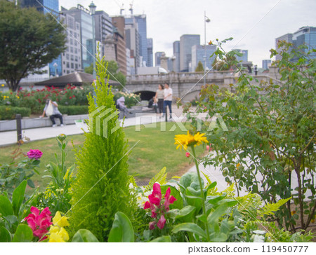 Park plants Park plants 119450777