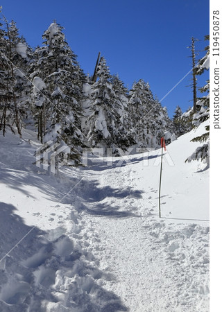 隆冬的北小岳風景(阿美池峠) 隆冬的北小岳風景(阿美池峠) 119450878