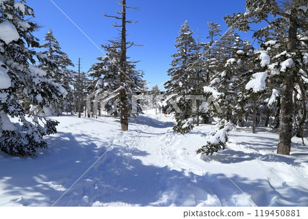 隆冬的北小岳風景(阿美池峠) 隆冬的北小岳風景(阿美池峠) 119450881