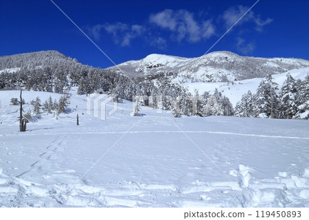 隆冬的北小岳風景（阿美池峠） 119450893