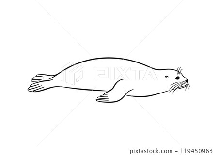 手繪插圖，顯示一隻海豹以草率的姿勢躺著，白色背景上的切口 119450963
