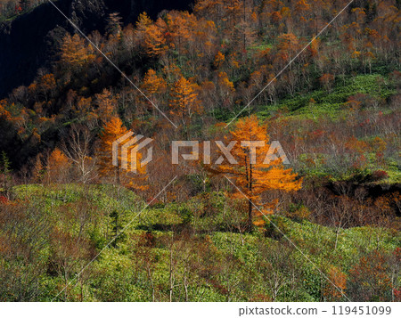 [Mountain scenery] Nagano Prefecture & Gifu Prefecture, Yake-dake, Autumn leaves 119451099