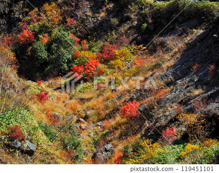 【山景】長野縣、岐阜縣、燒岳、秋葉 119451101