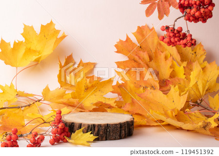 Autumn podium made of natural wood and autumn bright leaves and berries of mountain ash on a light blue background. Autumn podium made of natural wood and autumn bright leaves and berries of mountain ash on a light blue background. 119451392