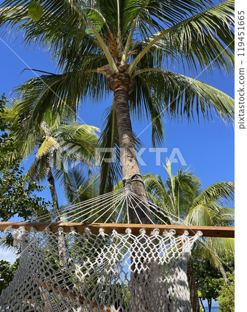 Malamala Island, a small remote island in the Mamanuca Islands of Fiji 119451665