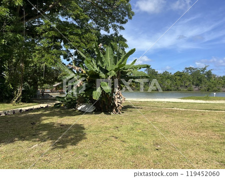 維拉港，瓦努阿圖首都 119452060