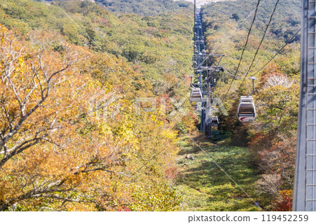 宮城縣藏王町秋天的宮城藏王，烏帽滑雪場的展望纜車 119452259