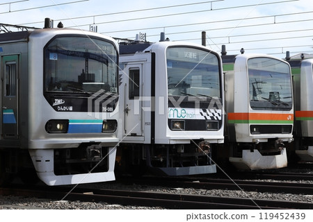 Series 209 Series 209 119452439
