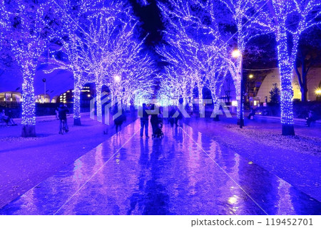 [Tokyo] Shibuya Blue Cave Illumination (Yoyogi Park Zelkova Tree Line) 119452701