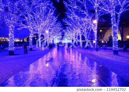 [Tokyo] Shibuya Blue Cave Illumination (Yoyogi Park Zelkova Tree Line) 119452702