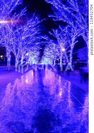 [東京]澀谷青之洞窟燈光秀（代代木公園櫸樹大道） 119452704