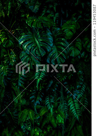 Herb wall, plant wall, natural green wallpaper and background. nature wall. Nature background of green forest 119453087