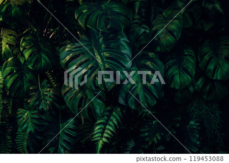 Herb wall, plant wall, natural green wallpaper and background. nature wall. Nature background of green forest 119453088