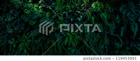 Herb wall, plant wall, natural green wallpaper and background. nature wall. Nature background of green forest Herb wall, plant wall, natural green wallpaper and background. nature wall. Nature background of green forest 119453091