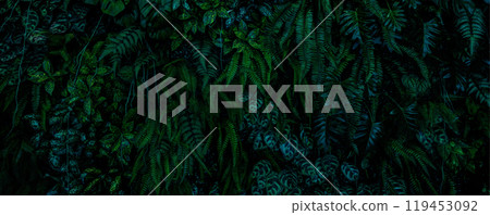 Herb wall, plant wall, natural green wallpaper and background. nature wall. Nature background of green forest 119453092