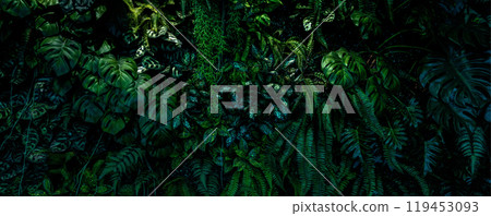 Herb wall, plant wall, natural green wallpaper and background. nature wall. Nature background of green forest Herb wall, plant wall, natural green wallpaper and background. nature wall. Nature background of green forest 119453093