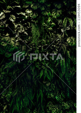 Herb wall, plant wall, natural green wallpaper and background. nature wall. Nature background of green forest Herb wall, plant wall, natural green wallpaper and background. nature wall. Nature background of green forest 119453094