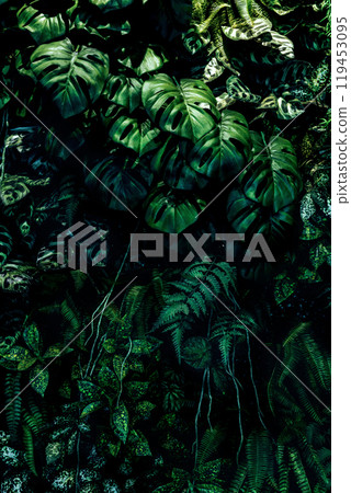 Herb wall, plant wall, natural green wallpaper and background. nature wall. Nature background of green forest Herb wall, plant wall, natural green wallpaper and background. nature wall. Nature background of green forest 119453095