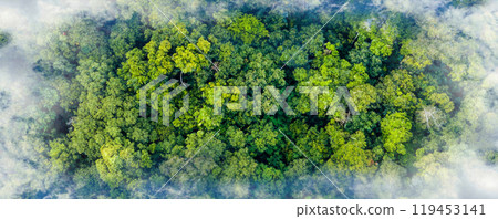 Forest of earth planet on through forest. Save Earth. Concept of the Environment World Earth Day. Car with nature 119453141