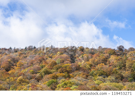 Autumn foliage in Zao, Miyagi Prefecture. Autumn foliage in the direction of Mount Eboshi seen from Eboshi Ski Resort. Zao Town, Miyagi Prefecture. Autumn foliage in Zao, Miyagi Prefecture. Autumn foliage in the direction of Mount Eboshi seen from Eboshi Ski Resort. Zao Town, Miyagi Prefecture. 119453271
