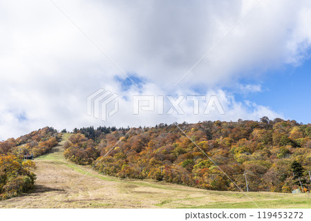 Autumn foliage in Zao, Miyagi Prefecture. Autumn foliage in the direction of Mount Eboshi seen from Eboshi Ski Resort. Zao Town, Miyagi Prefecture. 119453272