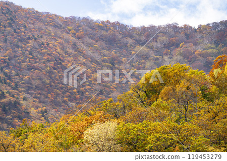 宮城藏王的紅葉、從宮城縣藏王町烏帽滑雪場看到的五星山方向的紅葉 119453279