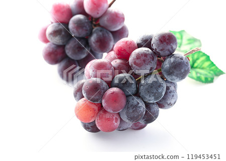 秋味先鋒（白底） 119453451