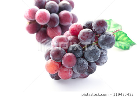 秋味先鋒(白底) 秋味先鋒(白底) 119453452