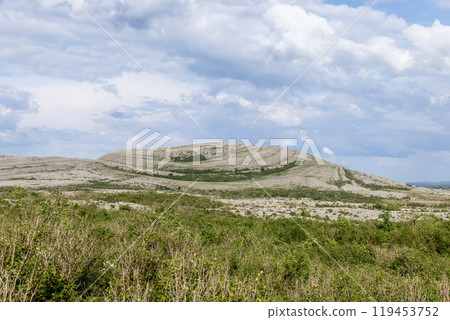 Detailed image of Burren National Park unique limestone formations in Ireland, showing the striated rock surfaces and scattered greenery 119453752