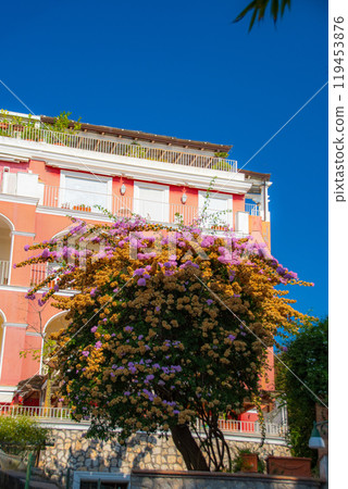 義大利日落和卡布里島的美麗景色 119453876