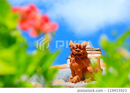 Mensore 沖繩與藍天、 紅木槿和水獅 Mensore 沖繩與藍天、 紅木槿和水獅 119453923