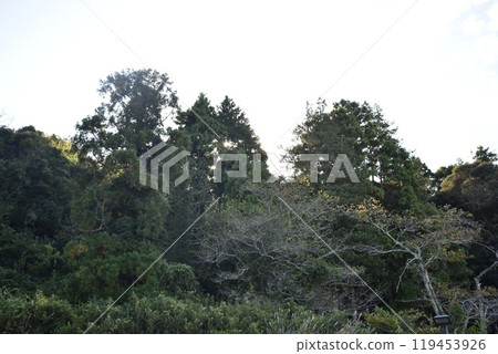 北茨城市的隱密景點福田神社週邊的風景 119453926