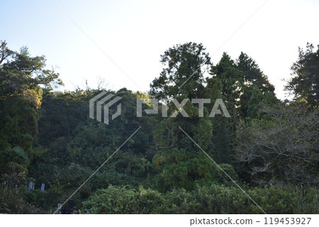 北茨城市的隱密景點福田神社週邊的風景 北茨城市的隱密景點福田神社週邊的風景 119453927