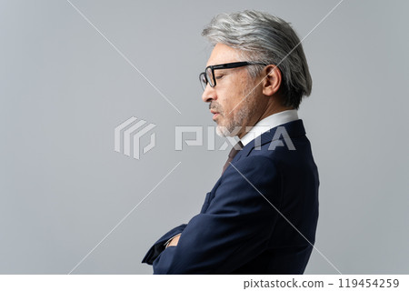 Businessman, gray hair, thinking, profile 119454259