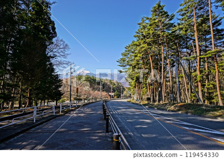Mountain road surrounded by trees 119454330