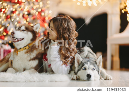 Girl looking at gray husky on Christmas background 119455083