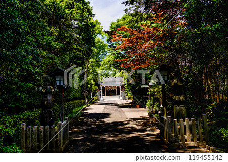 Approach to Hodogayajuku Shinmeisha Shrine 119455142