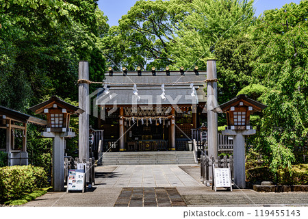 Hodogayajuku Shinmeisha Shrine surrounded by fresh greenery 119455143