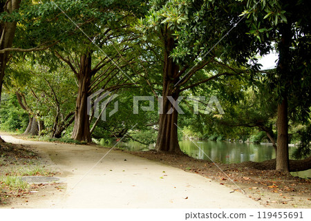 柳川水鄉 - 護城河周圍的散步路線「水邊散步道」的風景 柳川水鄉 - 護城河周圍的散步路線「水邊散步道」的風景 119455691