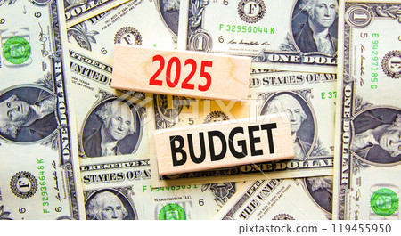 Planning 2025 budget new year symbol. Concept words 2025 Budget on beautiful wooden blocks. Dollar bills. Beautiful background from dollar bills. Business 2025 budget new year concept. Copy space. 119455950