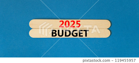 Planning 2025 budget new year symbol. Concept words 2025 Budget on beautiful wooden sticks. Beautiful blue background. Business 2025 budget new year concept. Copy space. 119455957