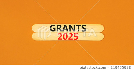 Planning grants 2025 new year symbol. Concept words Grants 2025 on beautiful wooden sticks. Beautiful orange background. Business grants 2025 new year concept. Copy space. 119455958
